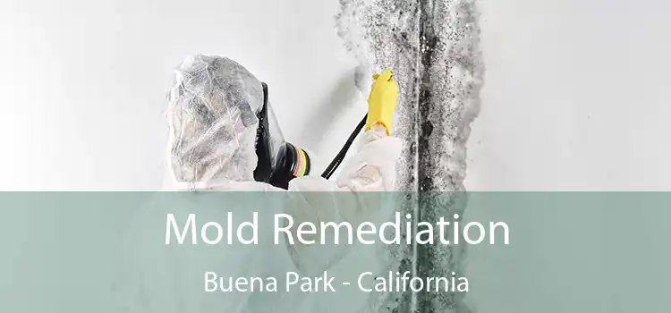 Mold Remediation Buena Park - California