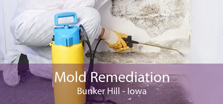 Mold Remediation Bunker Hill - Iowa
