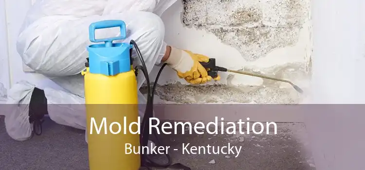 Mold Remediation Bunker - Kentucky