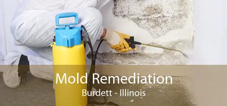 Mold Remediation Burdett - Illinois