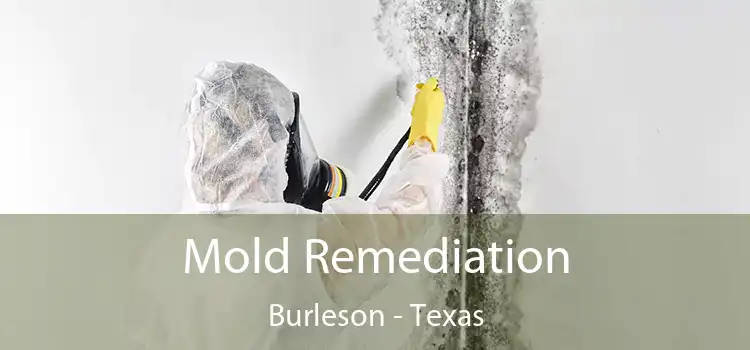 Mold Remediation Burleson - Texas