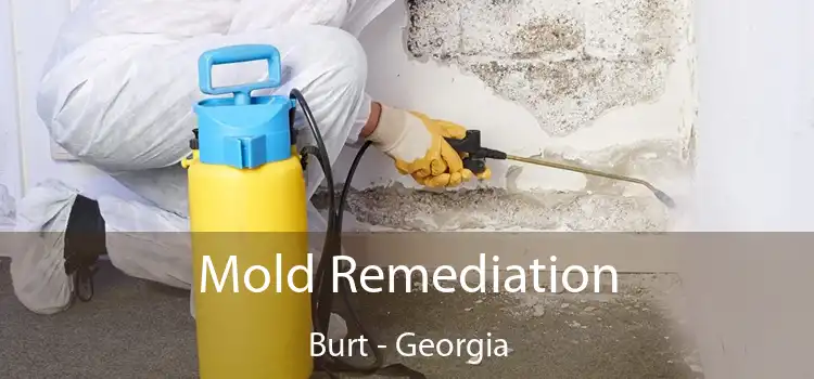 Mold Remediation Burt - Georgia