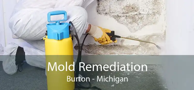 Mold Remediation Burton - Michigan