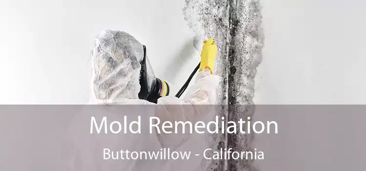 Mold Remediation Buttonwillow - California