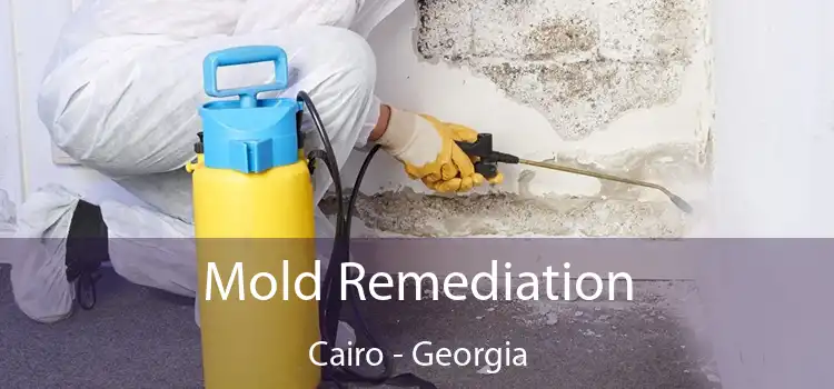 Mold Remediation Cairo - Georgia