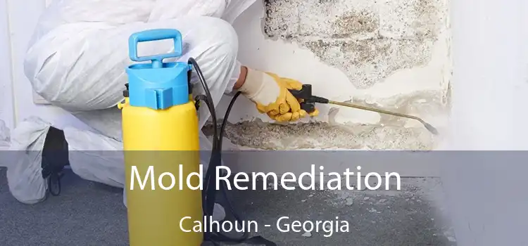 Mold Remediation Calhoun - Georgia