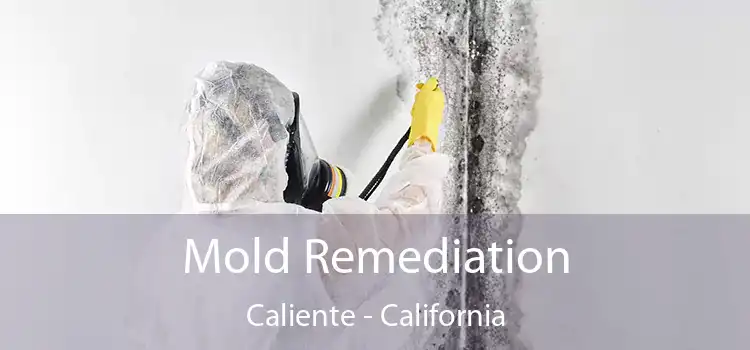 Mold Remediation Caliente - California