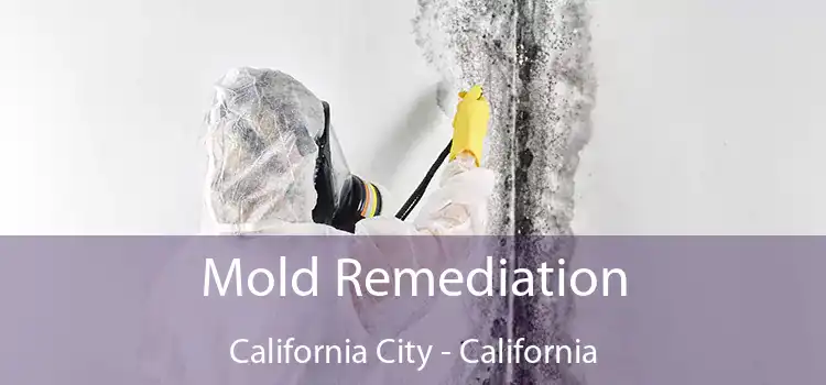 Mold Remediation California City - California