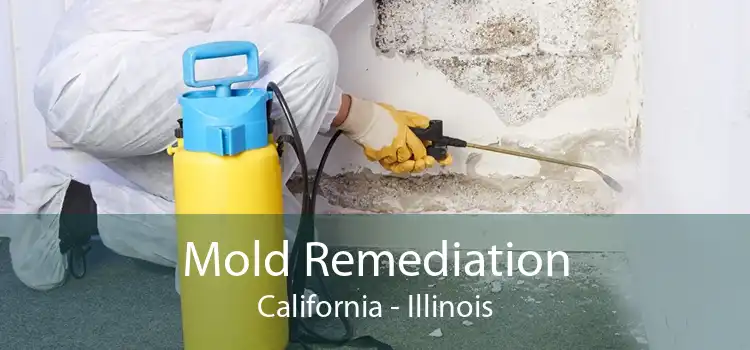 Mold Remediation California - Illinois