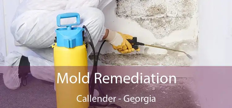 Mold Remediation Callender - Georgia