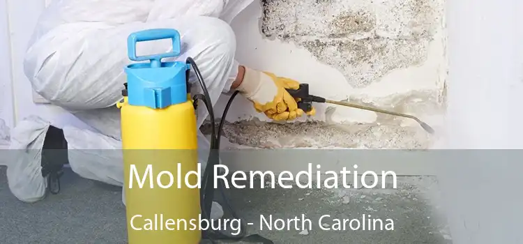 Mold Remediation Callensburg - North Carolina