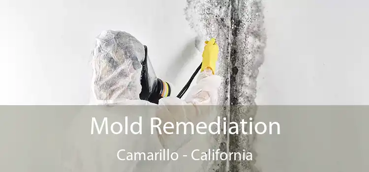 Mold Remediation Camarillo - California