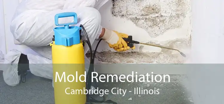 Mold Remediation Cambridge City - Illinois