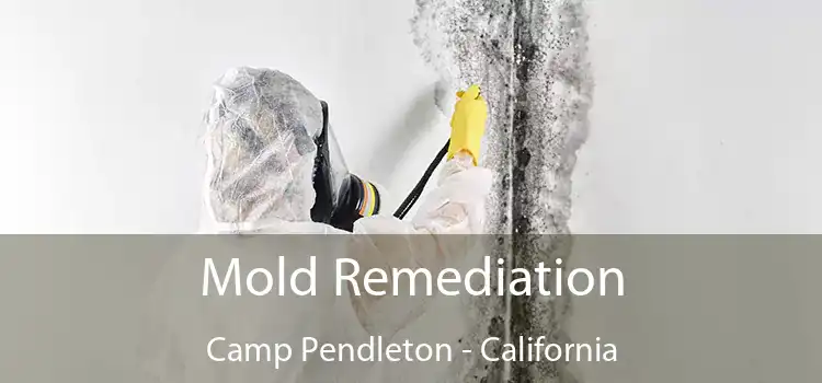 Mold Remediation Camp Pendleton - California