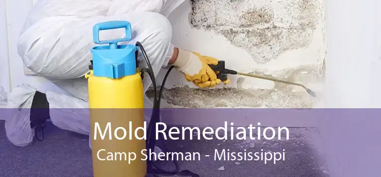 Mold Remediation Camp Sherman - Mississippi