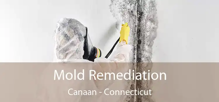 Mold Remediation Canaan - Connecticut