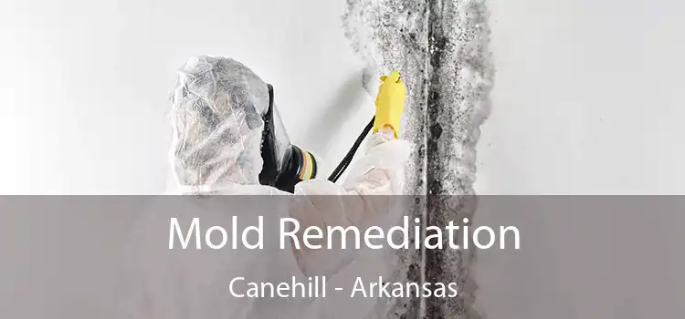 Mold Remediation Canehill - Arkansas