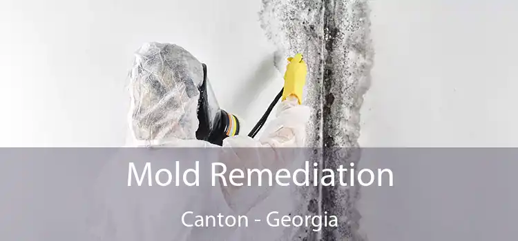 Mold Remediation Canton - Georgia