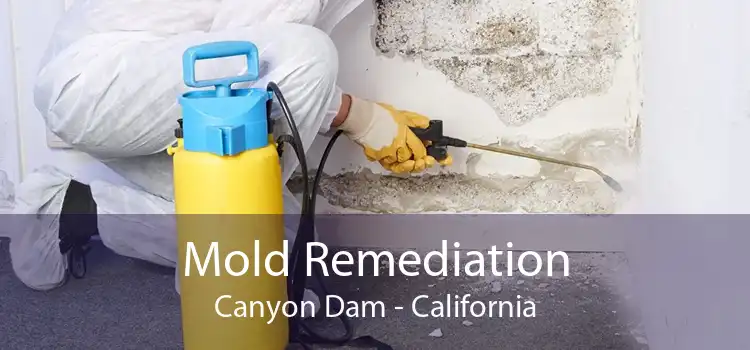 Mold Remediation Canyon Dam - California