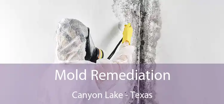 Mold Remediation Canyon Lake - Texas