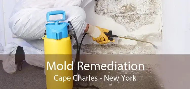 Mold Remediation Cape Charles - New York