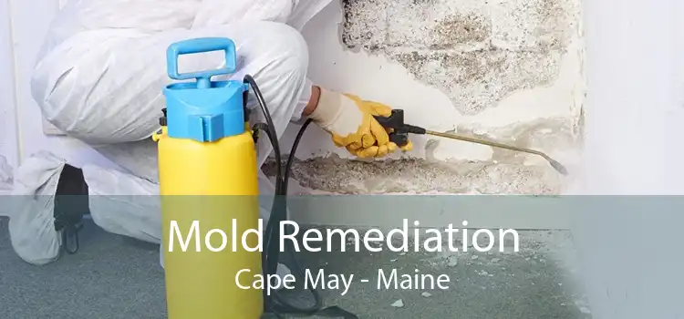Mold Remediation Cape May - Maine