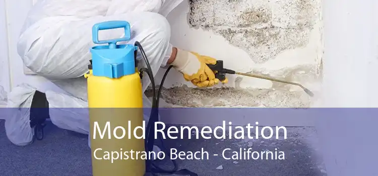 Mold Remediation Capistrano Beach - California