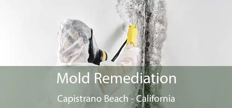 Mold Remediation Capistrano Beach - California