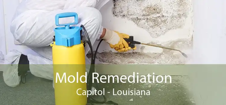 Mold Remediation Capitol - Louisiana
