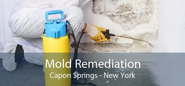 Mold Remediation Capon Springs - New York