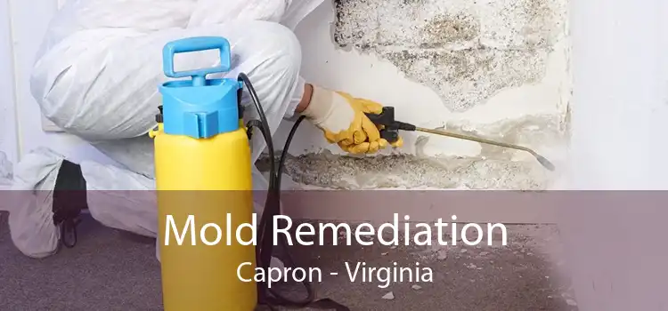 Mold Remediation Capron - Virginia