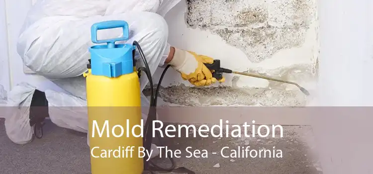 Mold Remediation Cardiff By The Sea - California