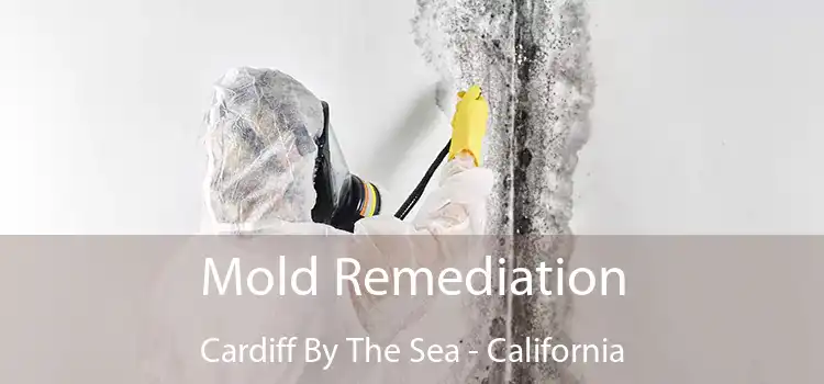 Mold Remediation Cardiff By The Sea - California