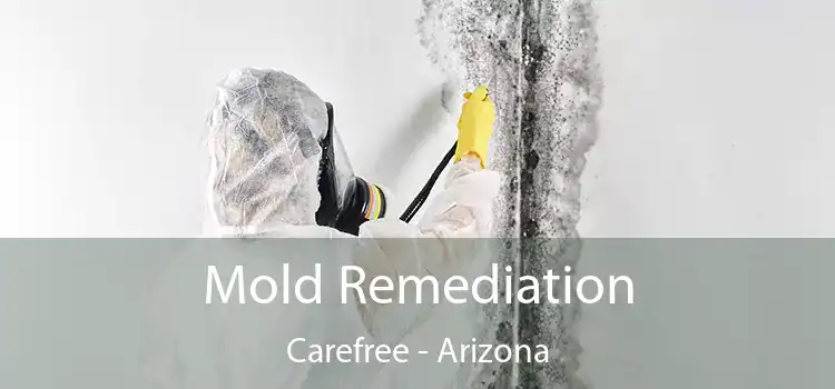 Mold Remediation Carefree - Arizona