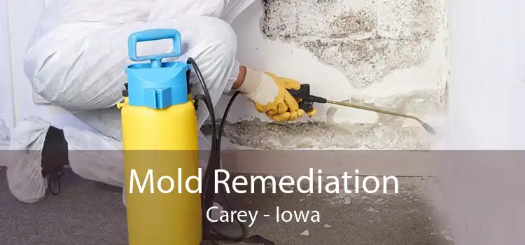 Mold Remediation Carey - Iowa