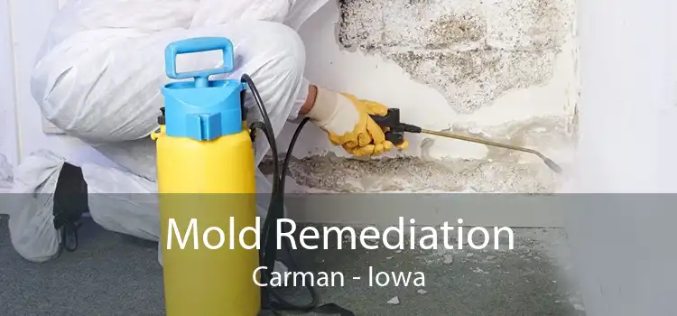 Mold Remediation Carman - Iowa