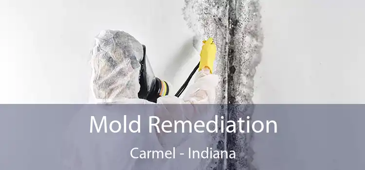 Mold Remediation Carmel - Indiana