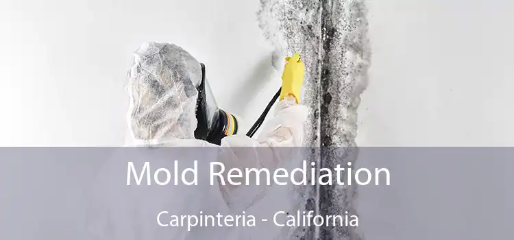 Mold Remediation Carpinteria - California