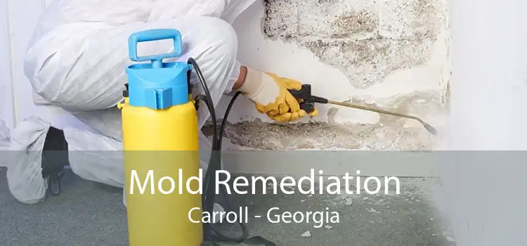 Mold Remediation Carroll - Georgia