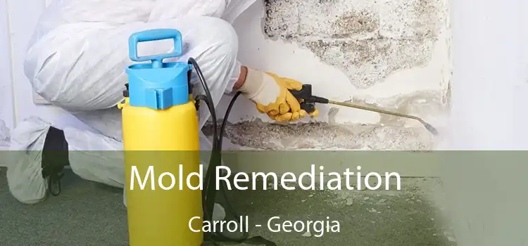 Mold Remediation Carroll - Georgia