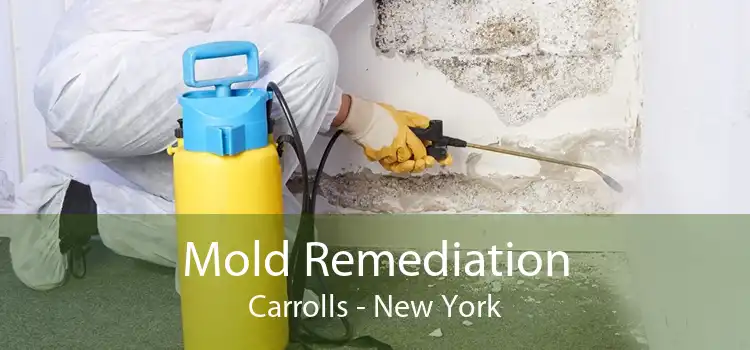 Mold Remediation Carrolls - New York