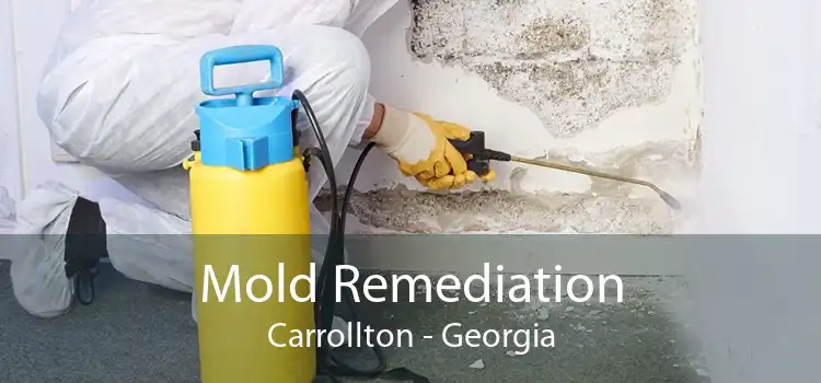 Mold Remediation Carrollton - Georgia
