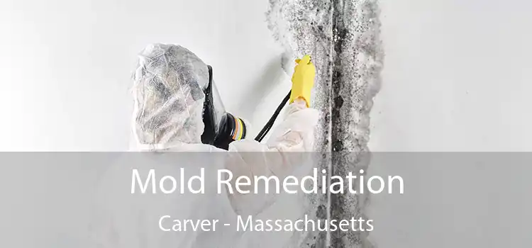 Mold Remediation Carver - Massachusetts
