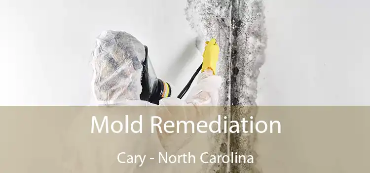 Mold Remediation Cary - North Carolina