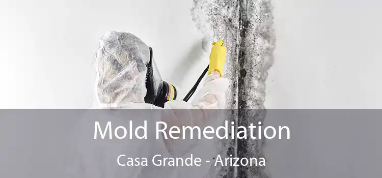 Mold Remediation Casa Grande - Arizona