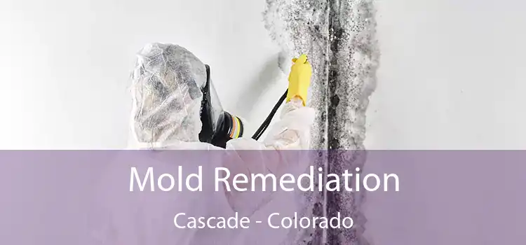 Mold Remediation Cascade - Colorado