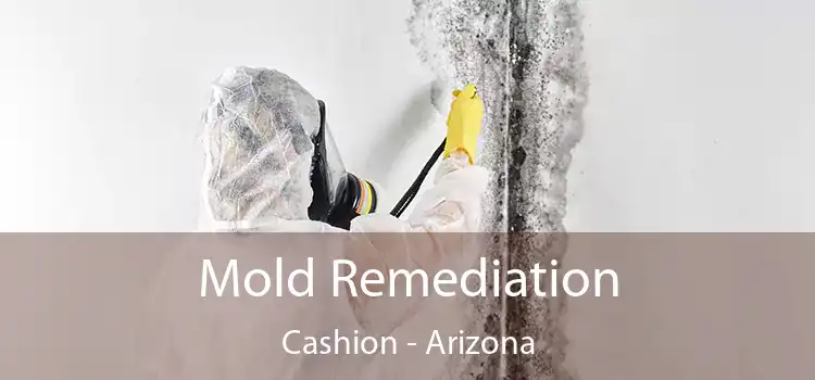 Mold Remediation Cashion - Arizona