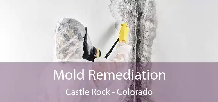 Mold Remediation Castle Rock - Colorado