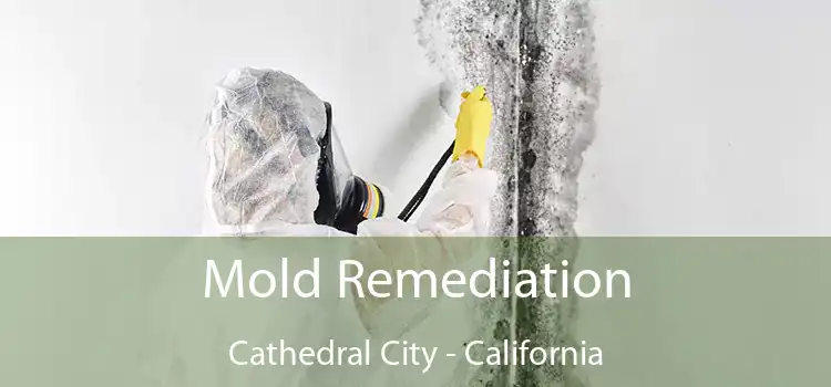 Mold Remediation Cathedral City - California