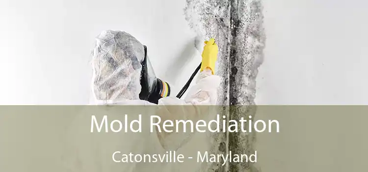 Mold Remediation Catonsville - Maryland